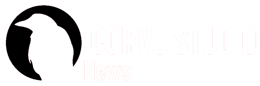 Logo Corvostudio News