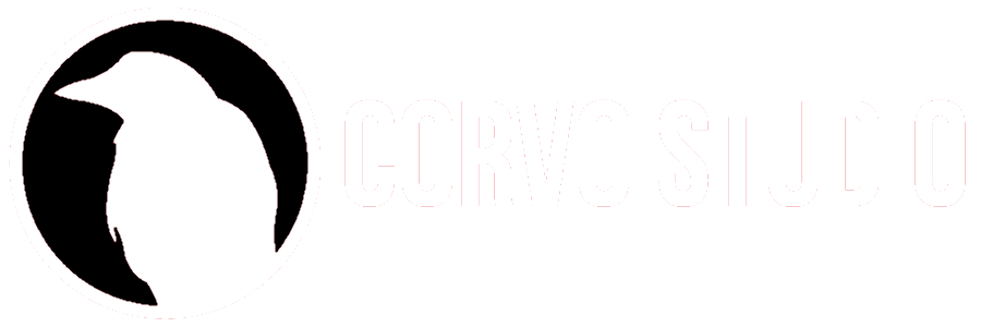 Logo Corvostudio News